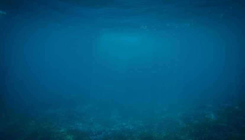 Unauth title KuOzKAKc