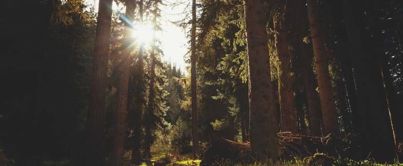 Unauth title HMiBmGqQ